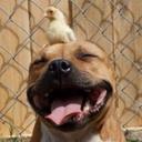 Joey Martin - @SteJoey_Curry - Twitter