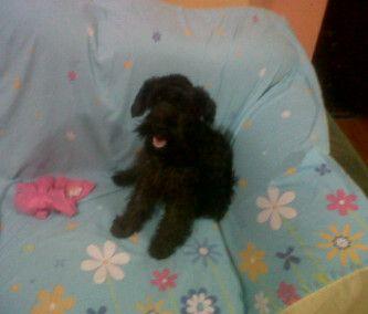 yajo23p's profile picture. 