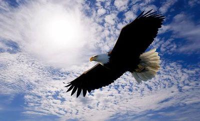 Soar to new heights at Broward College! District Director, Workforce & Continuing Education