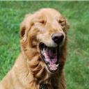 Elliott Page - @mAmadmax911rX - Twitter