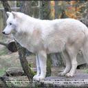 سادى القاهرة - @lala_dodo2010 - Twitter