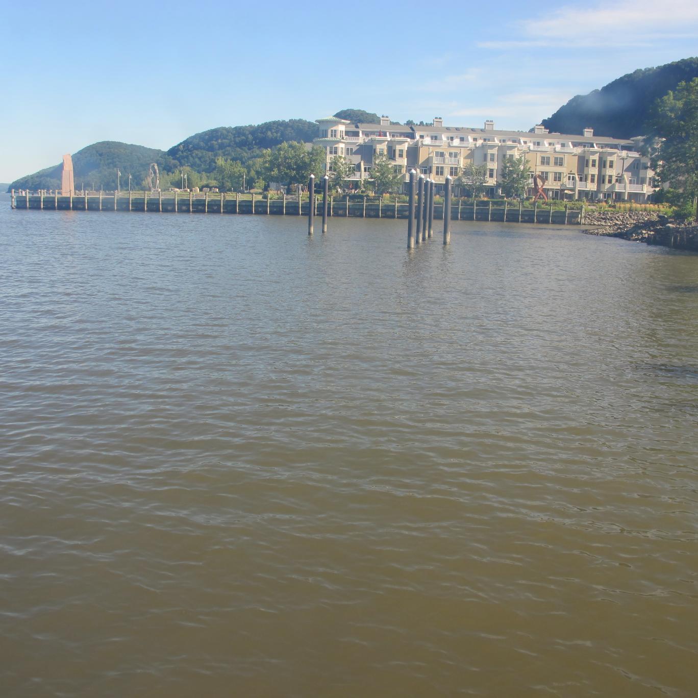 Naaa1655's profile picture. 