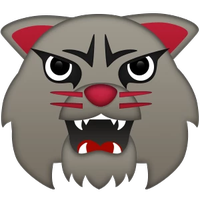 Davidson WBB Network (@dcwbbnetwork) 's Twitter Profile