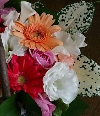 nekokosakura's profile picture. やっぱり、自由につぶやきたいな(^-^)