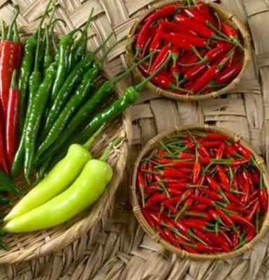 Akun advokasi untuk #Petani #WongsorejoAdilLestari