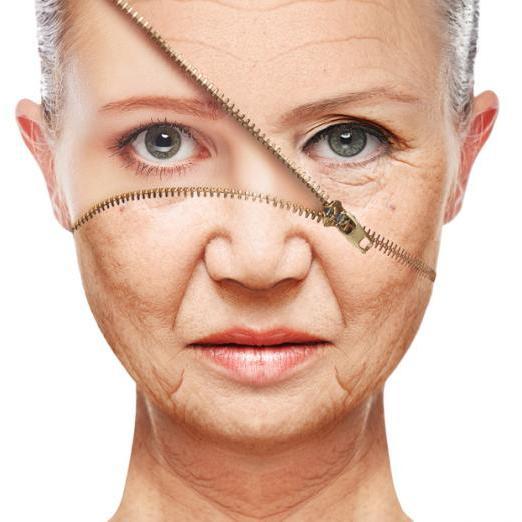 Senolytics and Anti-Aging Drugs News