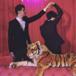 My heroes make videos and posts them on the internet • PHAN AND TRONNER SHIPPER 1000% • •••••••••••••••••••❤️❤️❤️❤️❤️••••••••••••••••• been to all teh vidconz
