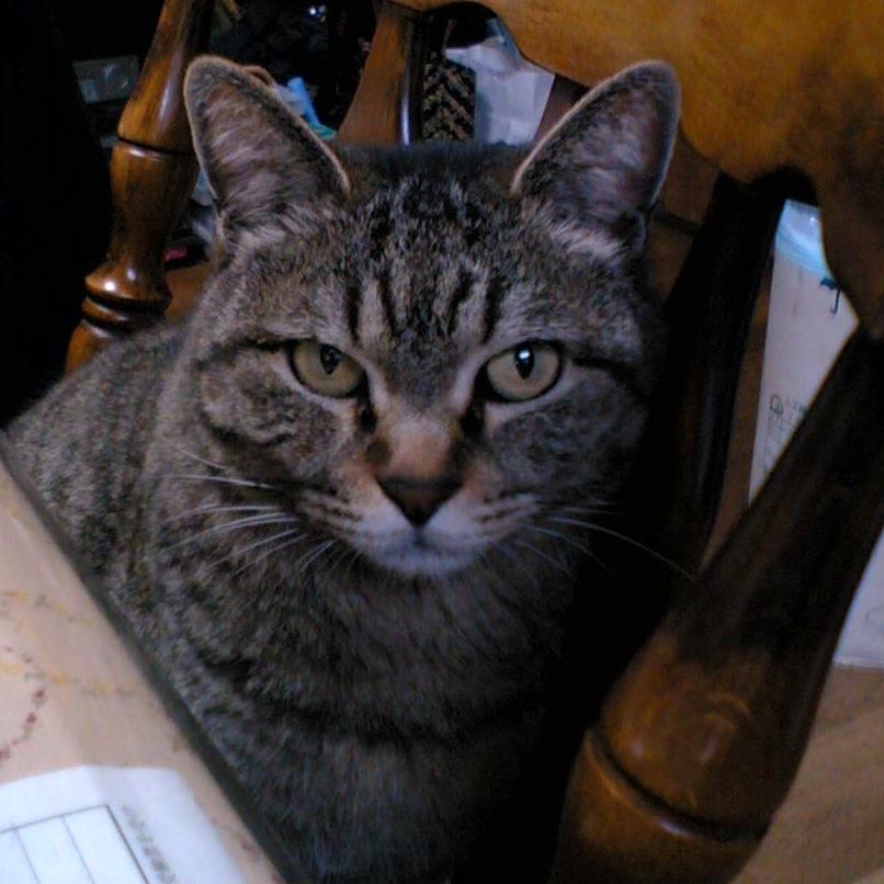 hgcksana's profile picture. 