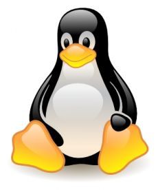 LinuxDunyasi's profile picture. Linux World-Updated from thousandof source