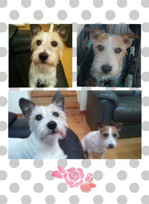 waka11300204's profile picture. 