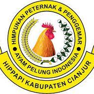 Breeder Ayam Pelung Cianjur