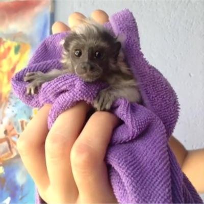 siul200311's profile picture. 