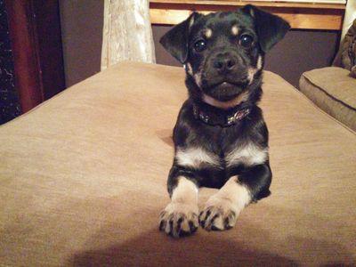 fc5b0555dec544a's profile picture. 