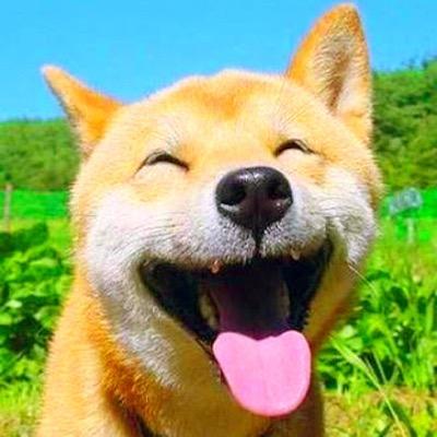 可愛い動物からおもしろい動物まで、思わずクスッと笑顔になっちゃうようなTLをRTします(ﾉ)･ω･(ヾ)かわいいと思ったらRT、フォローしてくださいね♡今日もいい動物日和でありますよーに✨