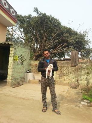 sachinguman007's profile picture. बेपरवाह