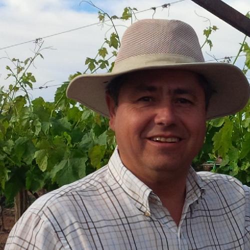 Originario de H Caborca, Son, dedicado a la comercialización y proceso de uva-pasa
