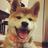 ShibaBotan's profile image