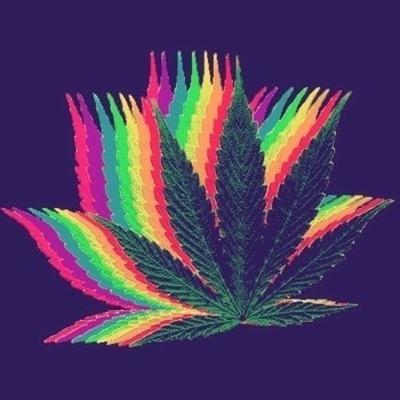 probably high right now. probably don't care what you have to say. probably still high as fuck.