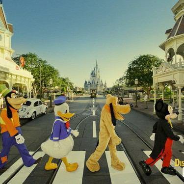 mkot_study's profile picture. 高３女子    スタプラやってるうちなーんちゅ  無言フォローすいません。基本フォロバします  琉大 熊大 防医大 九大