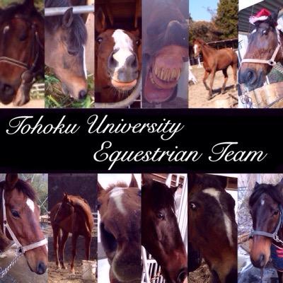 東北大乗馬部です。かわいい馬11頭と賑やかな部員と優しいOBOGに支えられて活動しています！ 公式HP：https://t.co/WO85VBY4xU ／ ブログ：https://t.co/27cJfDVHqh ／ Youtube：https://t.co/kJ9QCUhe8F