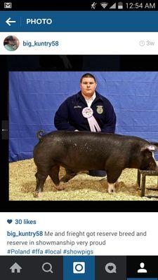 I go to Moore. I'm a freshman. I show pigs. Taken by Britany Tartaglia