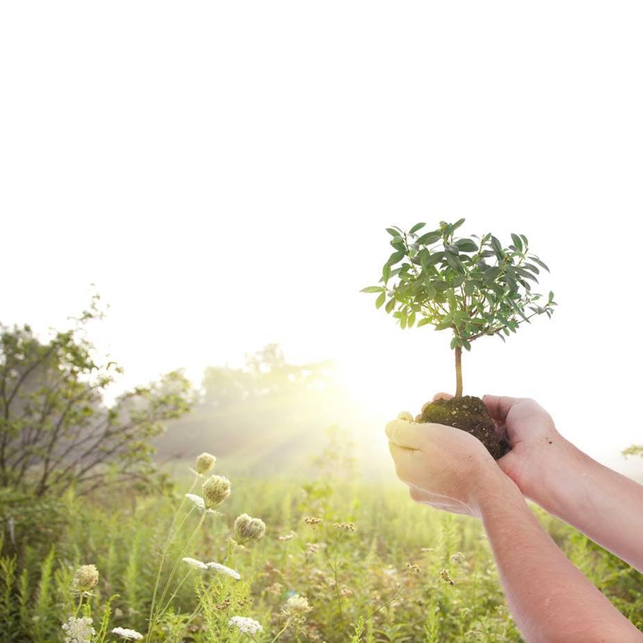 nanbyo_reha's profile picture. 神経難病リハビリテーション研究会の公式twitterです。主に研究会の活動（ワークショップ、班研究報告会など）や関連領域の勉強会情報などをつぶやいてます。