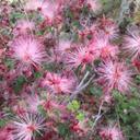 joan converse - @cestmoijec - Twitter