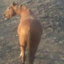 Eva Robbins - @arenvalvald - Twitter