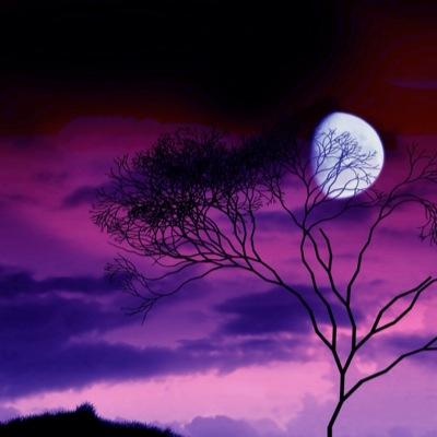 newsome_amani's profile picture. unfollow this account and follow @amani_newsome