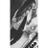 _xsidneyyx's profile image