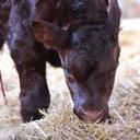 Thomas epps - @EppsTom - Twitter