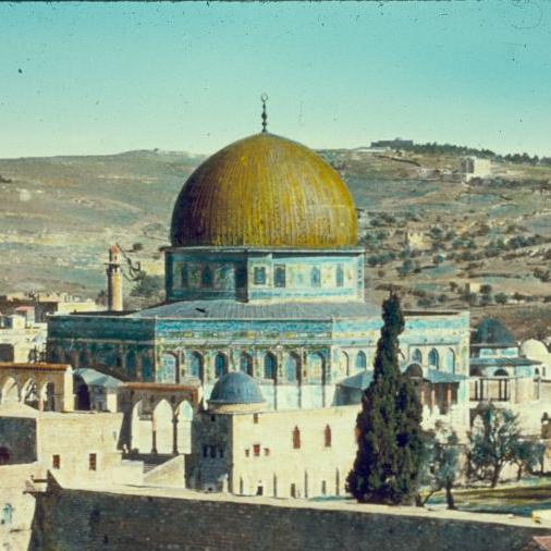 Celebrating #PalestinianCulture & #PalestinianHistory one zagroot at a time. Researcher of #PalestinianHeritage at http://t.co/Ji9IVppbUQ
