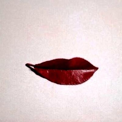 ❌No DM's❌ta chuck✨✈