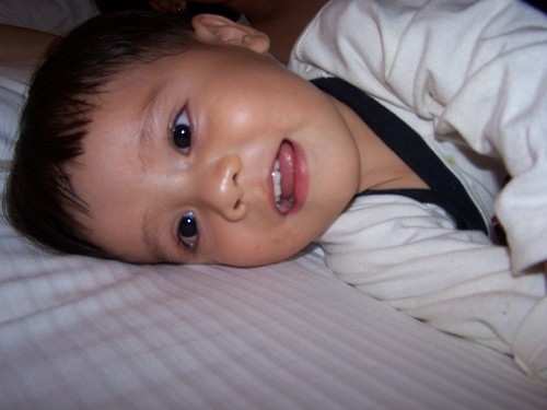 amayaluis's profile picture. 