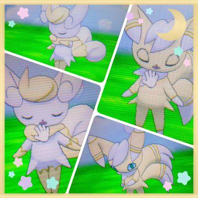 rrrcl27's profile picture. 国際孵化 / オシャボ♀集め 交換配布等受け付けます。いつでもどうぞ！