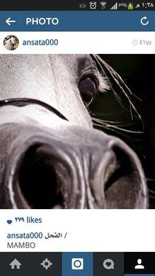 bneed1's profile picture. 