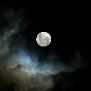 murmurationsTv's profile picture. 