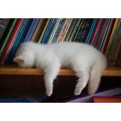 ID_closets's profile picture. 