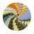 el_choooo's profile image