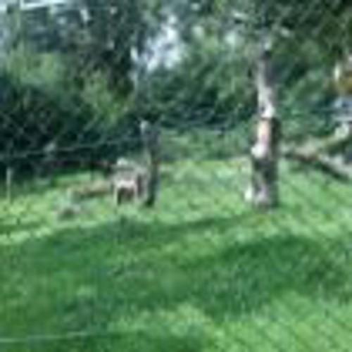 JadaJonez86's profile picture. Ammature pornstar (well tring to be1lol) may have saw me on welovebukkake splatbukkake porn hub....naughytinkerbell.com had fun in all of them.... l love sex