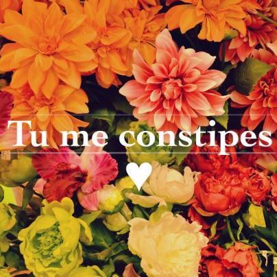 jeanTitouan_'s profile picture. La notion de genre ne sert à rien, bisous