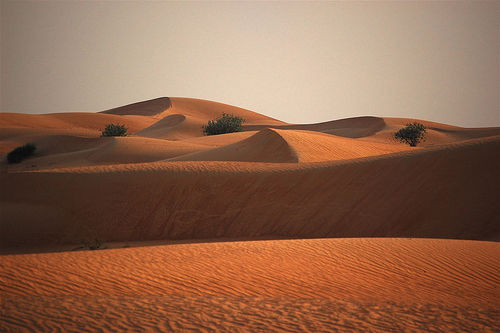 BeautifulGlobe's profile picture. 