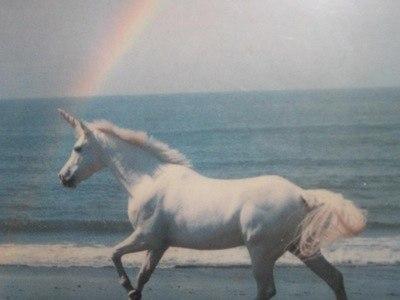 Настя с: 
hi everybody, i'm anastasia and i fucking love #paramore and #glee, also #followback 
my b-day is 04.25