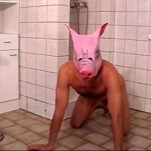 performing_fool's profile picture. A sub to be used as a domme sees fit, from humiliation, chores, working/money slave, laughter or simply performing monkey. :-)