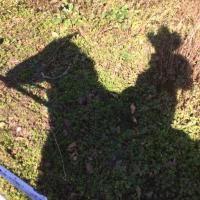 Alistair Elfick (@aelfick) 's Twitter Profile