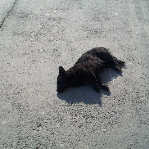 ffff4ffffffffff's profile picture. 