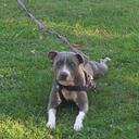 Bridgette Ward - @bridgetteward81 - Twitter