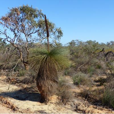 PhilMEPS's profile picture. 