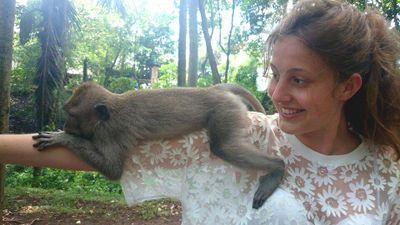 _lauwats's profile picture. 