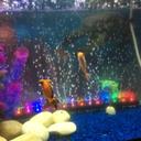 david nan - @davidwiner89 - Twitter